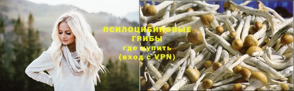 скорость Няндома