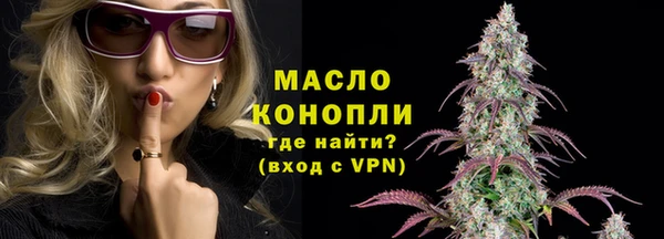 индика Нязепетровск