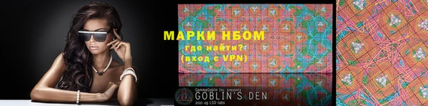 индика Нязепетровск