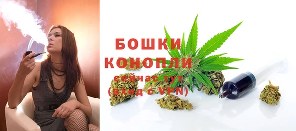 индика Нязепетровск