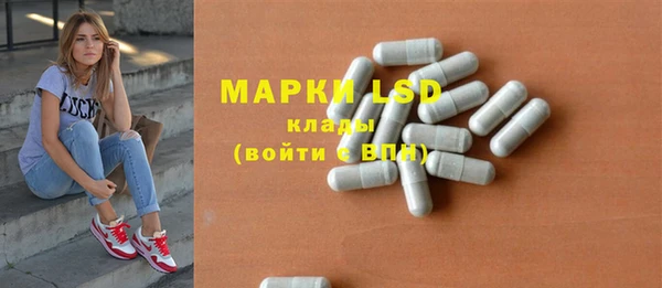 индика Нязепетровск