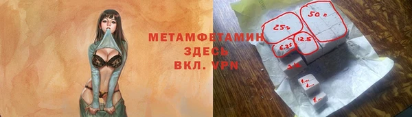 индика Нязепетровск