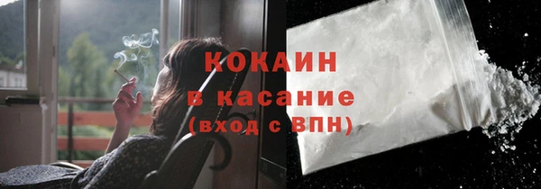 индика Нязепетровск
