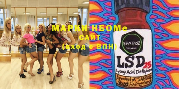 индика Нязепетровск
