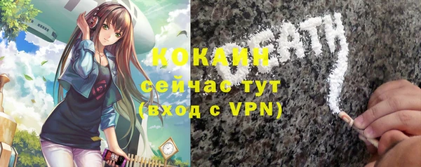 скорость Няндома