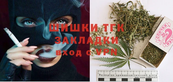 индика Нязепетровск