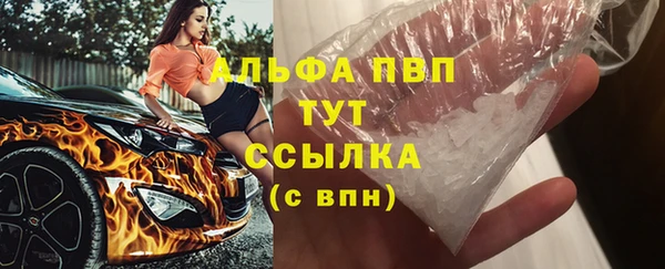 индика Нязепетровск