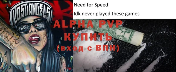 индика Нязепетровск
