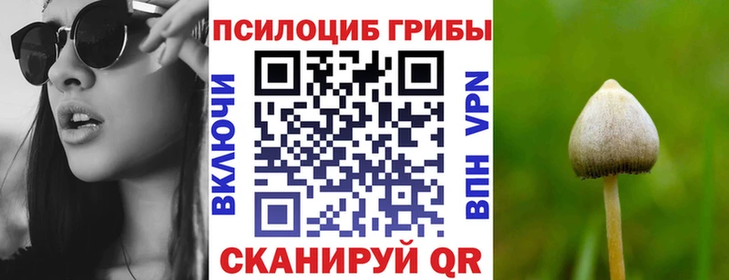 мега рабочий сайт  где можно купить наркотик  Грозный  Псилоцибиновые грибы Cubensis 
